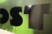 Load image into Gallery viewer, We Lost Dancing