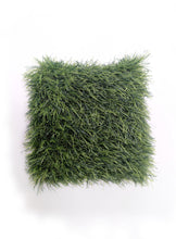 Load image into Gallery viewer, TOUCH GRASS