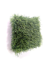 Load image into Gallery viewer, TOUCH GRASS