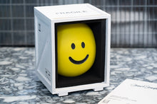 Load image into Gallery viewer, I Should Be Crying (sculpture 1/8)