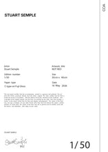 Load image into Gallery viewer, THIS PRINT IS NOT RED